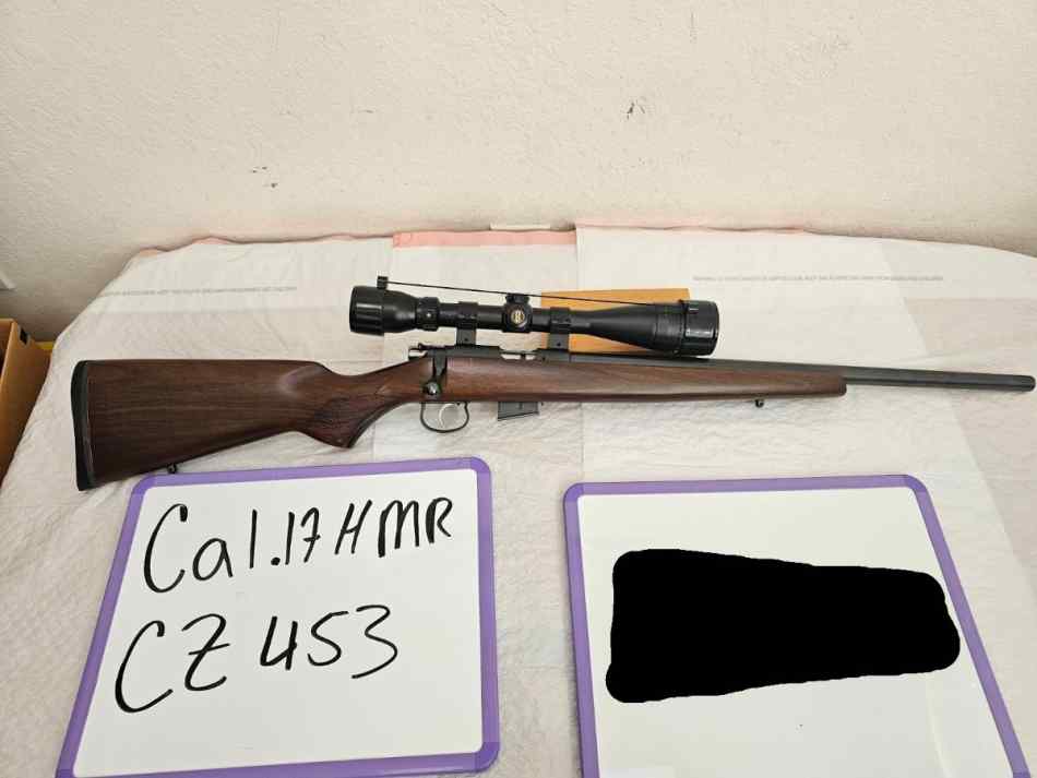 CZ 453 W/BushneII Legend .17 HMR
