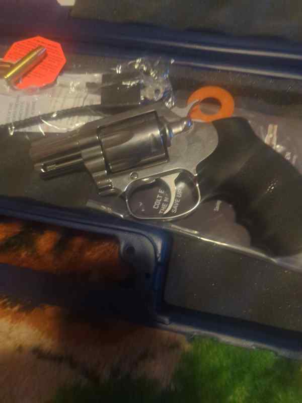 Colt 357 magnum