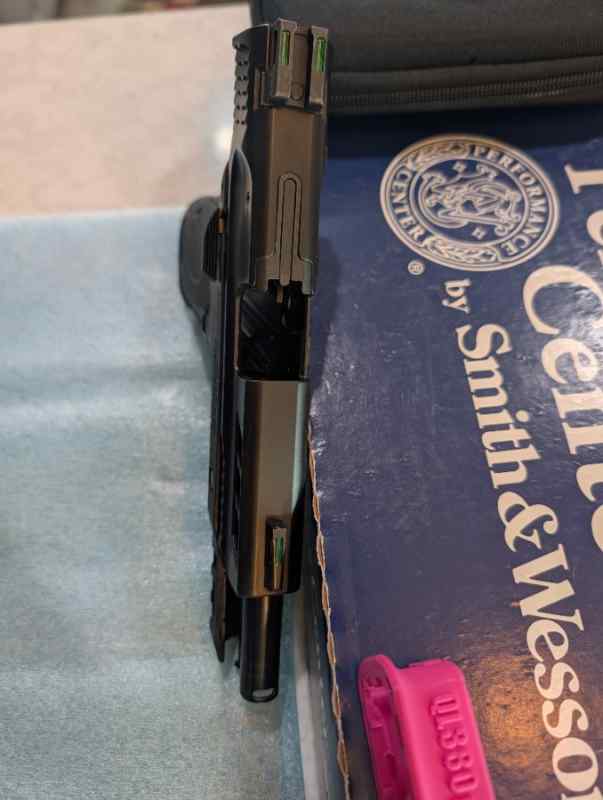 Smith &amp; Wesson Performance Center Pistol M&amp;P380 EZ