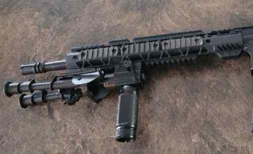 AR-15 .223/5.56 NATO 