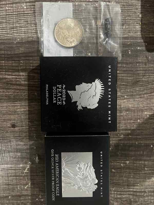 Silver bullion